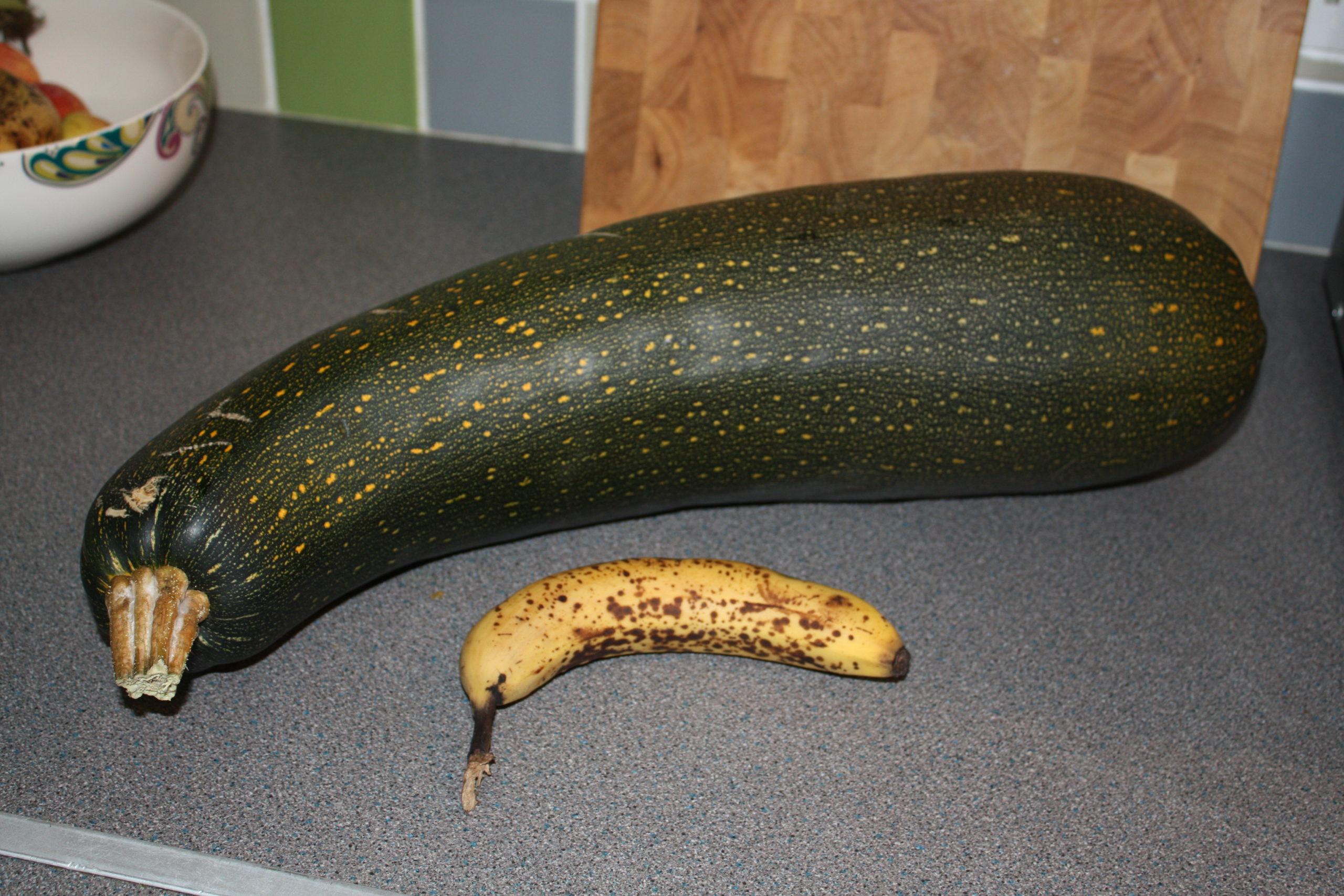 Growing Giant Courgettes 3