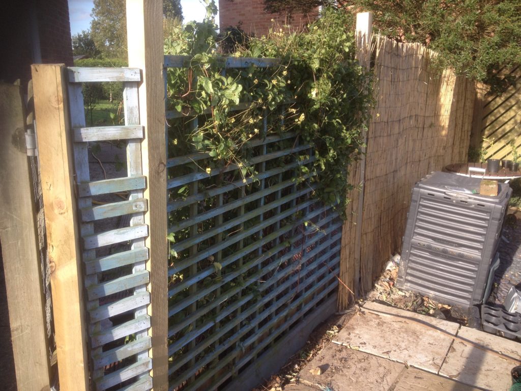 Repaired Fence